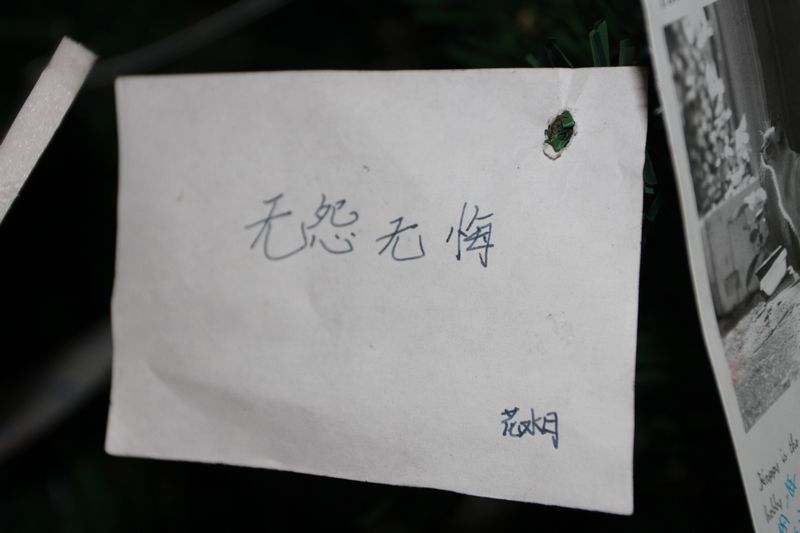 电子pg下载入口