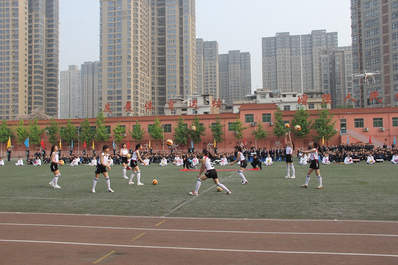 电子pg下载入口