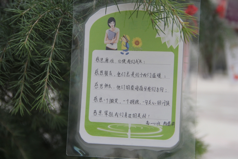 电子pg下载入口