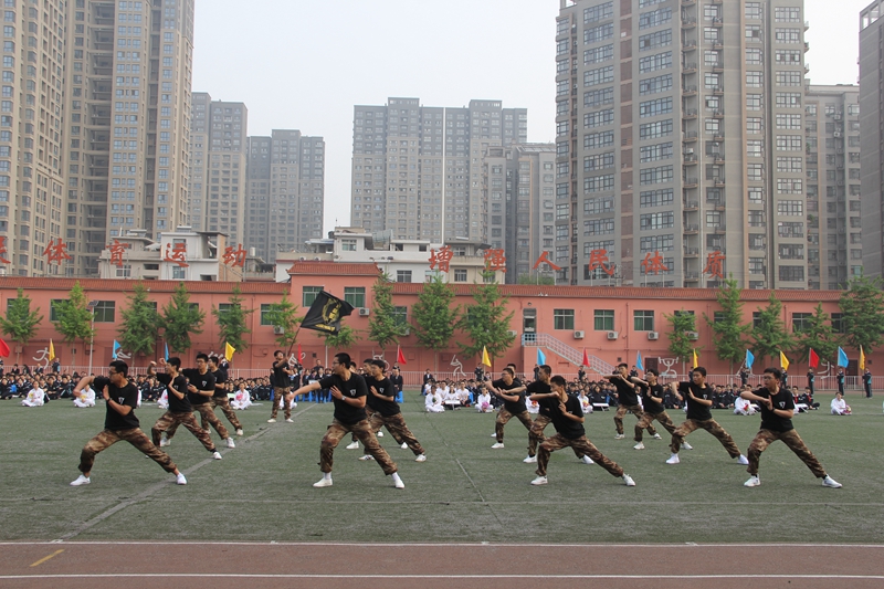 电子pg下载入口