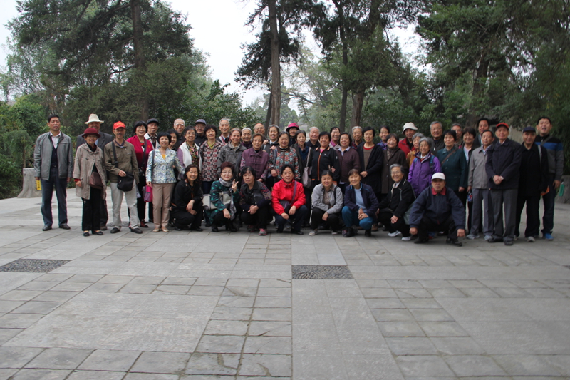 电子pg下载入口