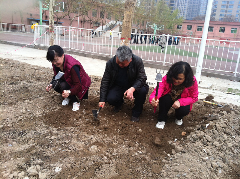 电子pg下载入口