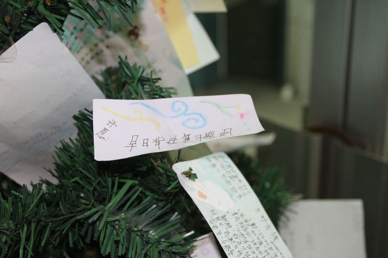 电子pg下载入口