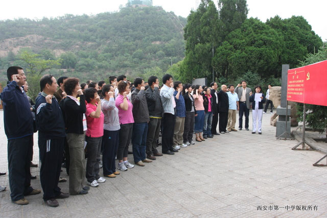 电子pg下载入口