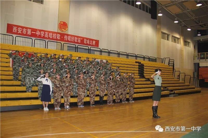 电子pg下载入口