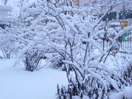 电子pg下载入口