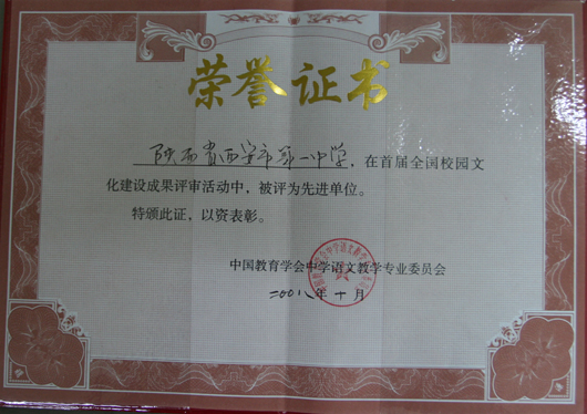 电子pg下载入口