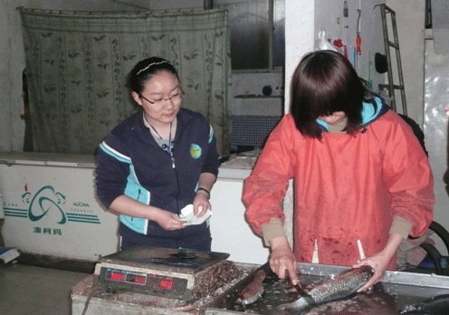 电子pg下载入口