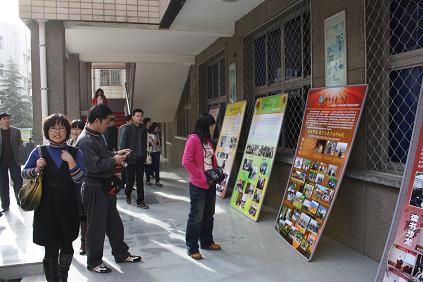 电子pg下载入口