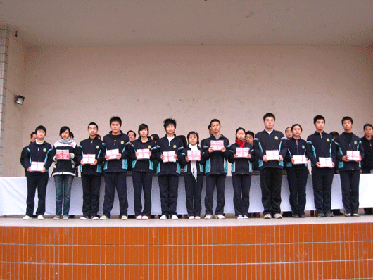 电子pg下载入口