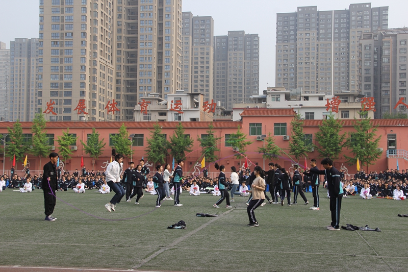 电子pg下载入口