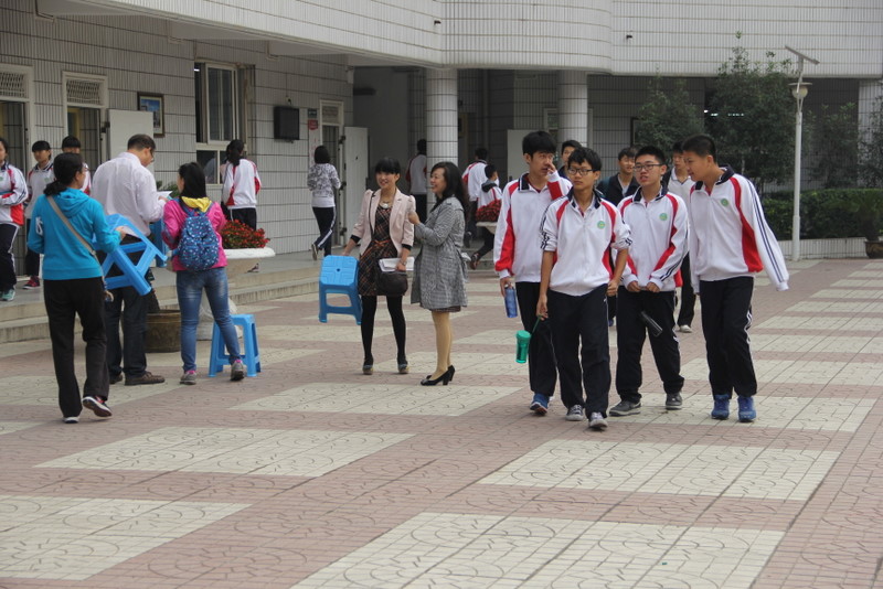 电子pg下载入口