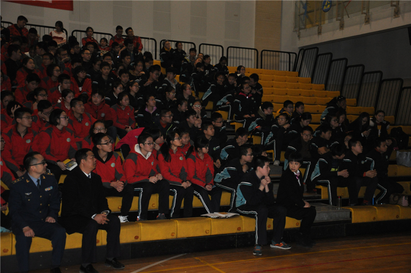 电子pg下载入口