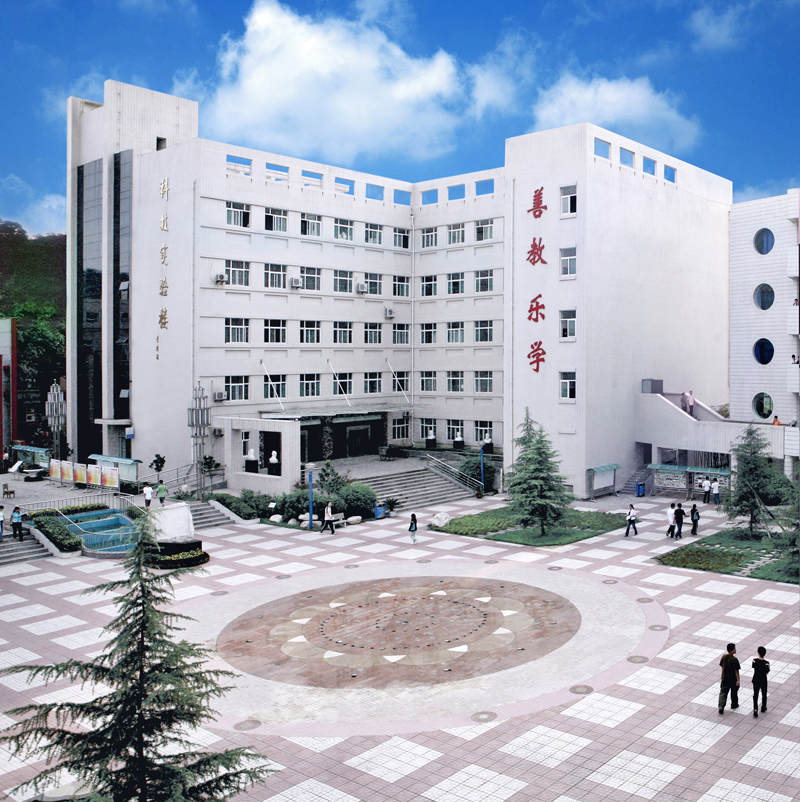 电子pg下载入口