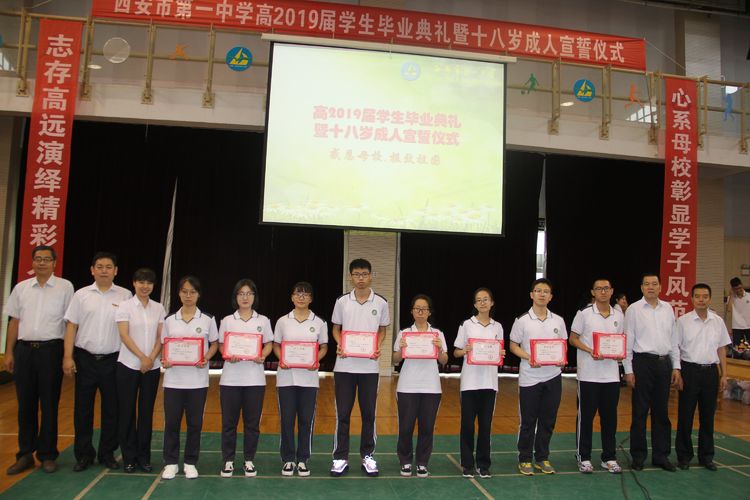 电子pg下载入口