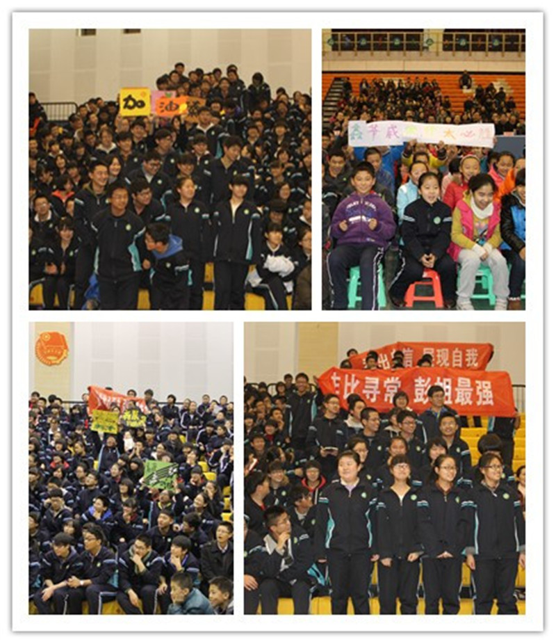 电子pg下载入口