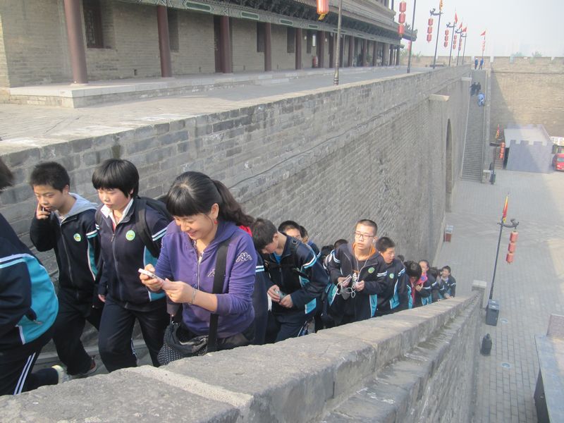 电子pg下载入口