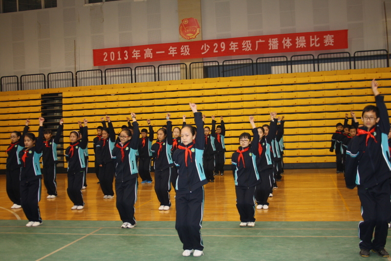 电子pg下载入口