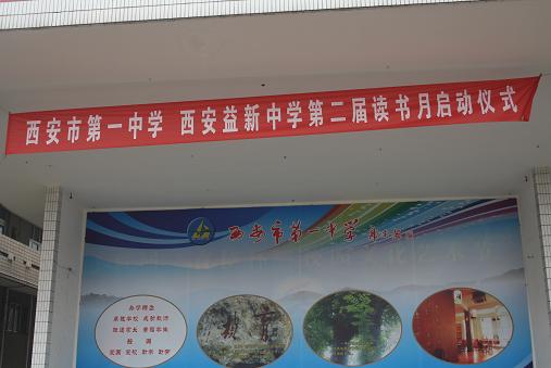 电子pg下载入口