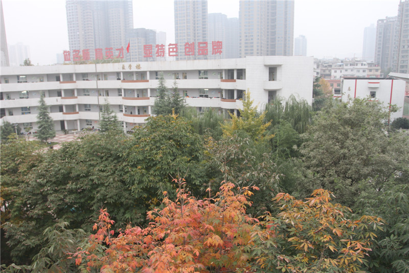 电子pg下载入口