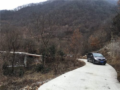 电子pg下载入口