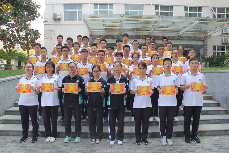 电子pg下载入口