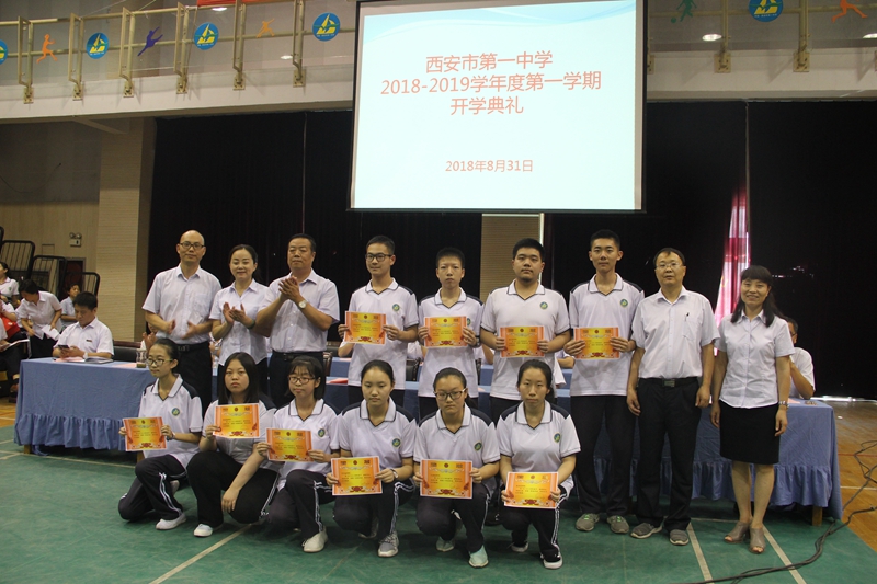 电子pg下载入口