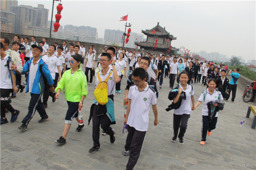 电子pg下载入口