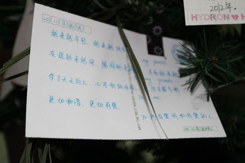 电子pg下载入口