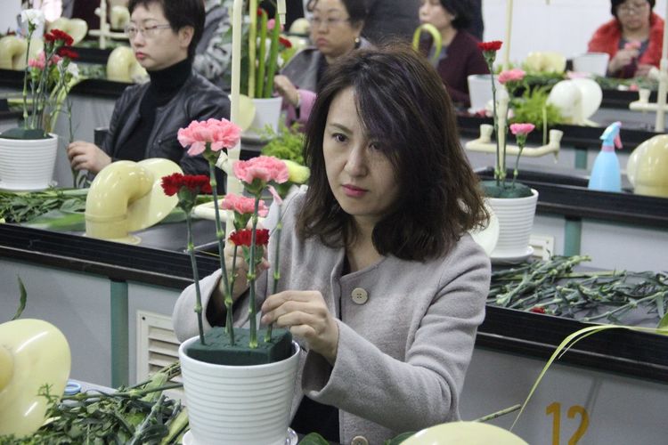 电子pg下载入口