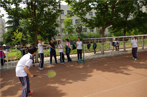 电子pg下载入口