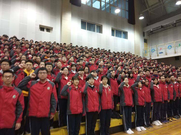 电子pg下载入口