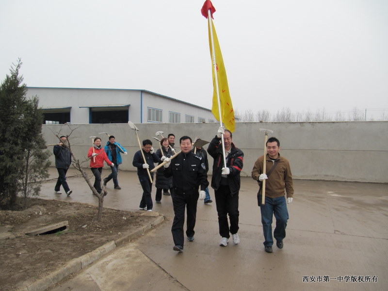 电子pg下载入口