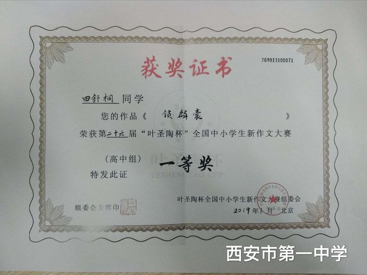 电子pg下载入口