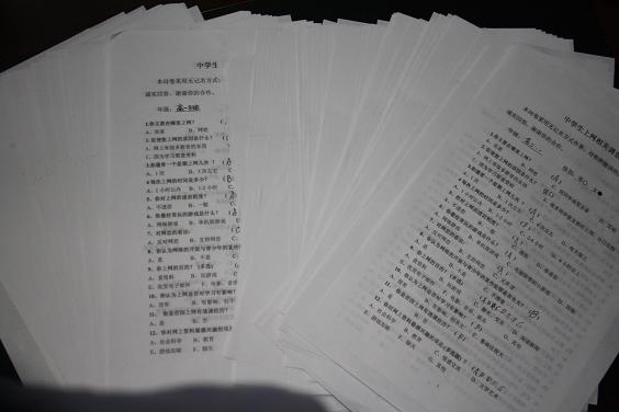 电子pg下载入口