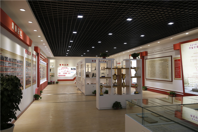 电子pg下载入口