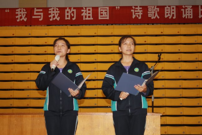 电子pg下载入口