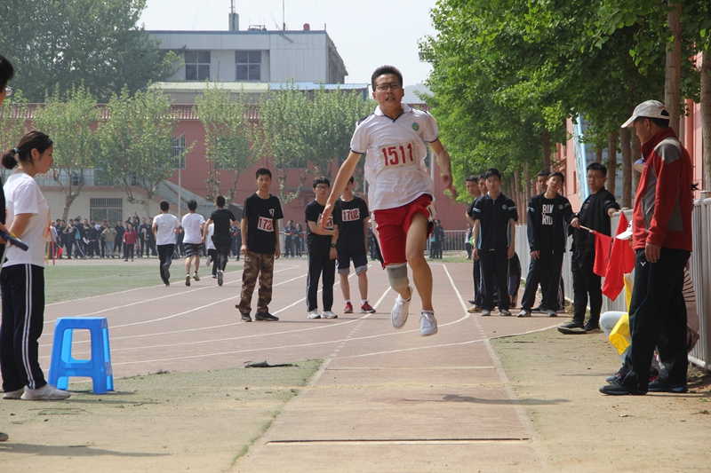 电子pg下载入口