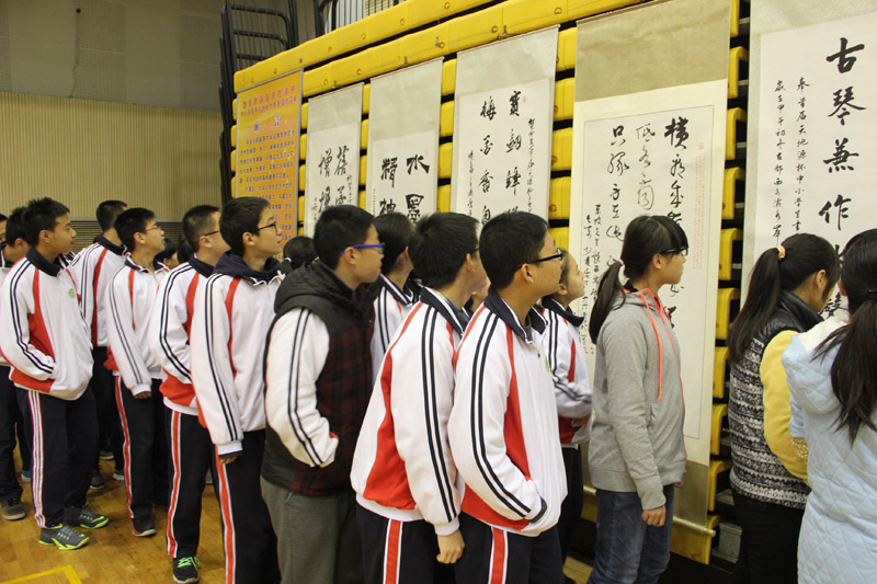 电子pg下载入口