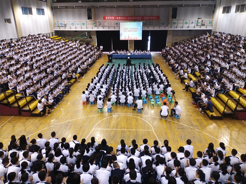 电子pg下载入口