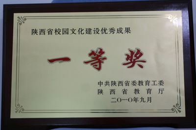 电子pg下载入口