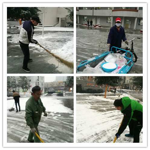 电子pg下载入口