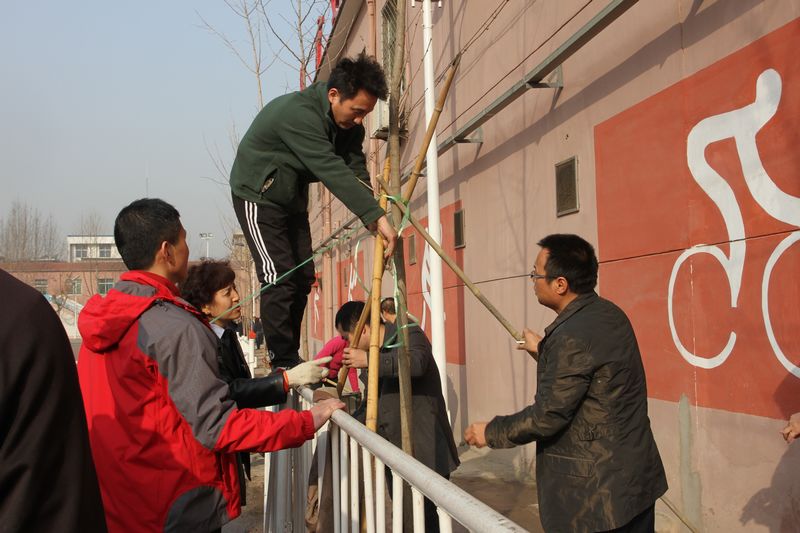 电子pg下载入口