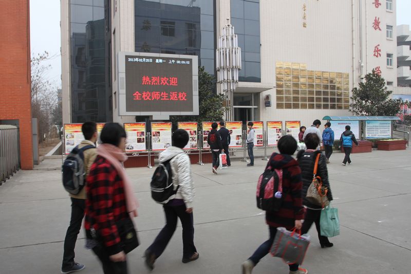 电子pg下载入口
