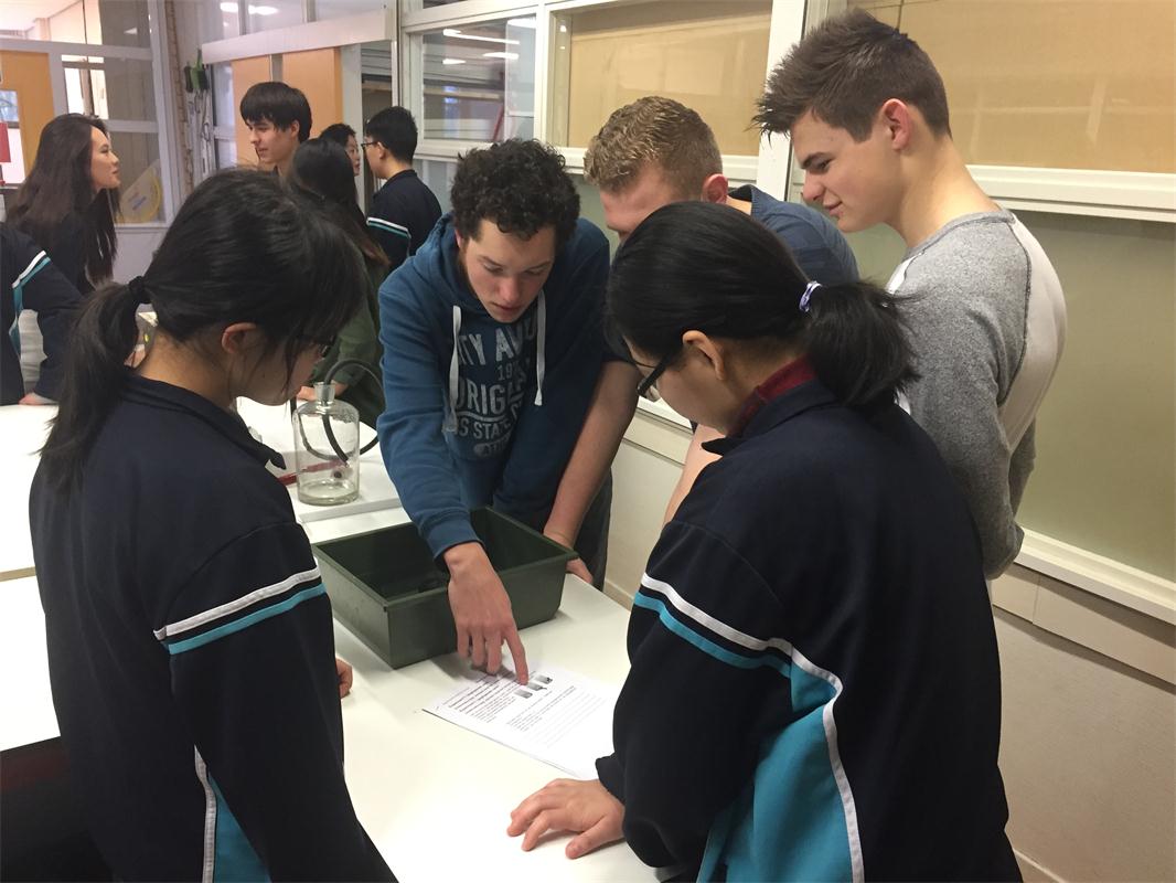 电子pg下载入口