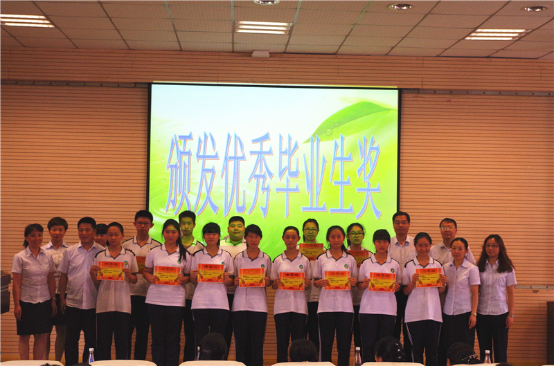 电子pg下载入口