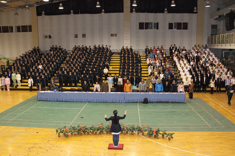 电子pg下载入口