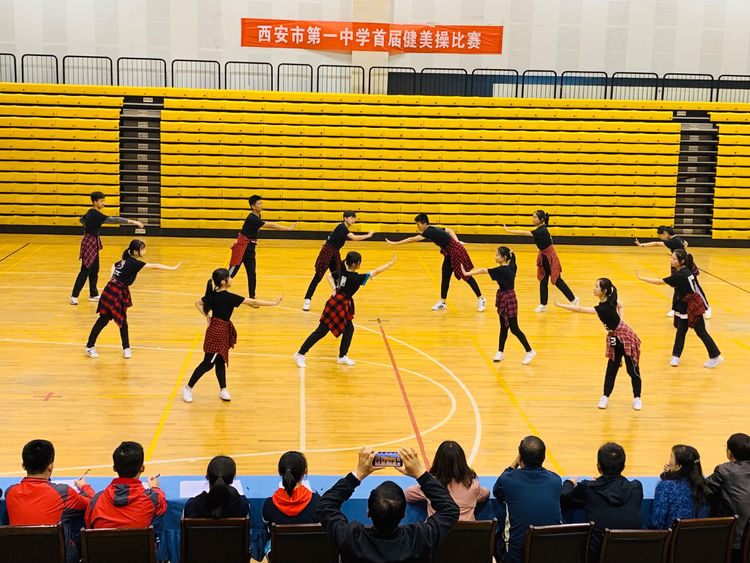 电子pg下载入口