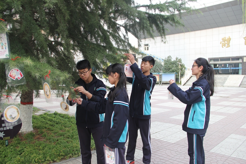 电子pg下载入口