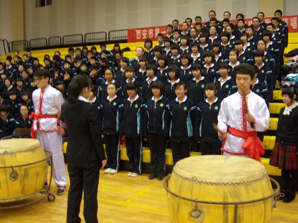 电子pg下载入口